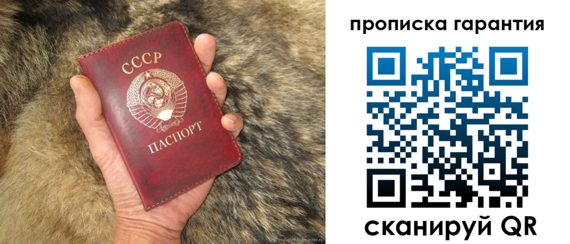 временная регистрация гарантия в Могочи